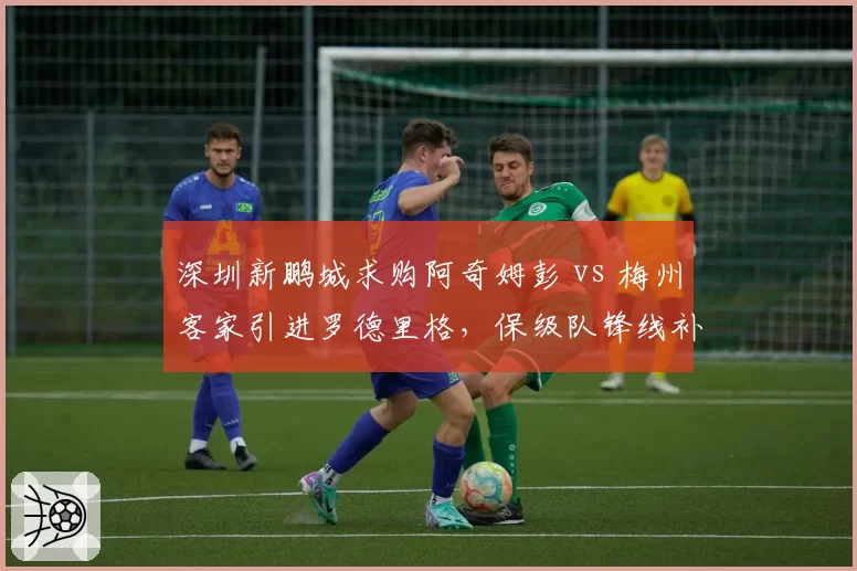 深圳新鹏城求购阿奇姆彭 vs 梅州客家引进罗德里格，保级队锋线补强对比